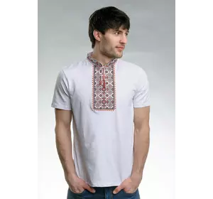 Чоловіча футболка білого кольору на короткий рукав «Зоряне сяйво (червона вишивка)» Чоловіча футболка білого кольору на короткий рукав «Зоряне сяйво (червона вишивка)»