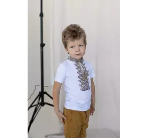 Вышитая футболка для мальчика с коротким рукавом Дем'янчик (бежевая вышивка)
